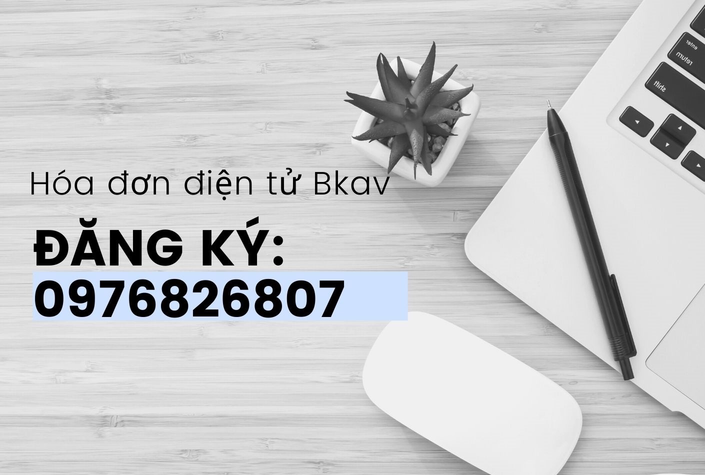 Hóa đơn điện tử Bkav tại Bình Định