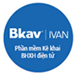 Bảo hiểm xã hội online